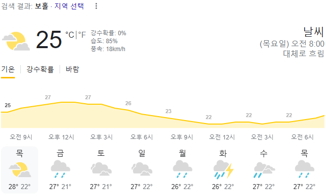  2024년 1월 25일 보홀 날씨 올려드려요