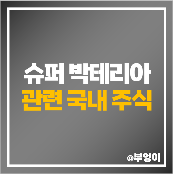 슈퍼 박테리아 관련주 종근당바이오 주가 레고켐바이오 이연제약 씨젠 슈퍼 박테리아 관련주 종근당바이오 주가 레고켐바이오 이연제약 씨젠