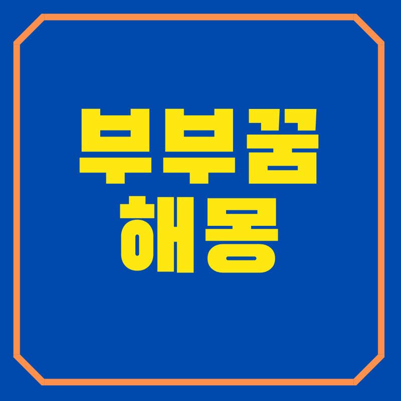 부부꿈 해몽 총정리