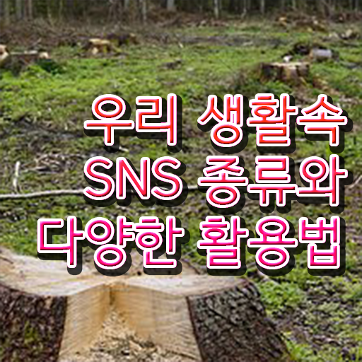  방송sns콘텐츠전문가 자격증 빠른 취득 정보 꾸러미 ?!