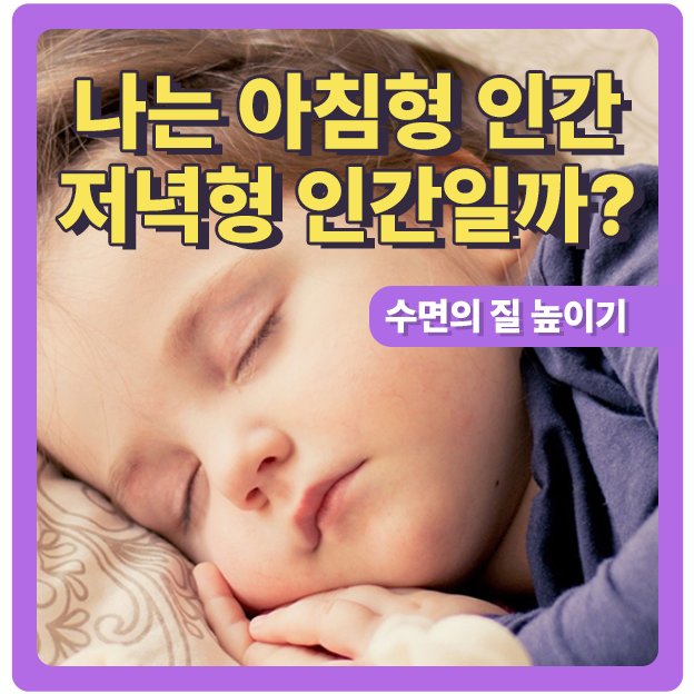  나는 저녁형 인간인가 아침형 인가