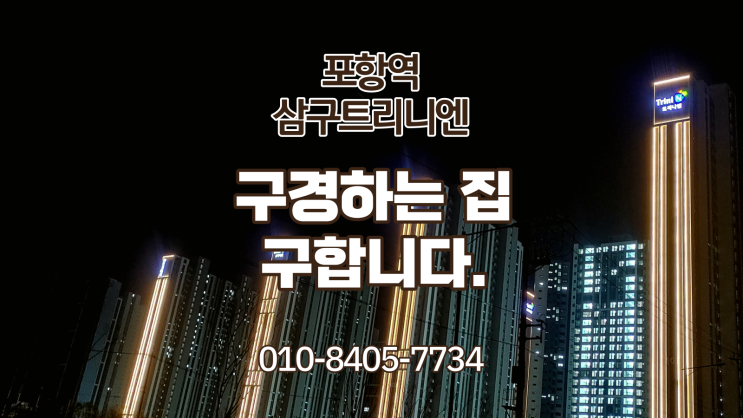  포항역 삼구트리니엔 구경하는 집 구합니다.