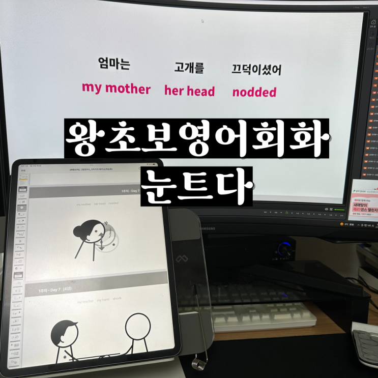  영어공부혼자하기 왕초보영어 눈트다