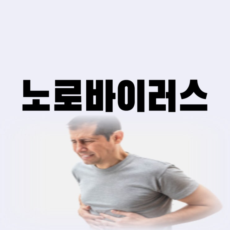  노로바이러스 전염 증상 노로바이러스 전염성 얼마나 강할까(기간, 원인)