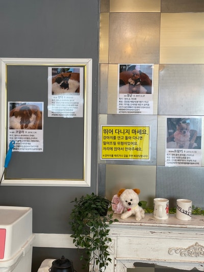 사진 2