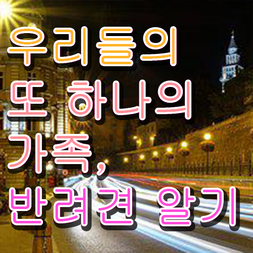  반려동물 관리사 자격증 취득 1급 전격분석 !!!