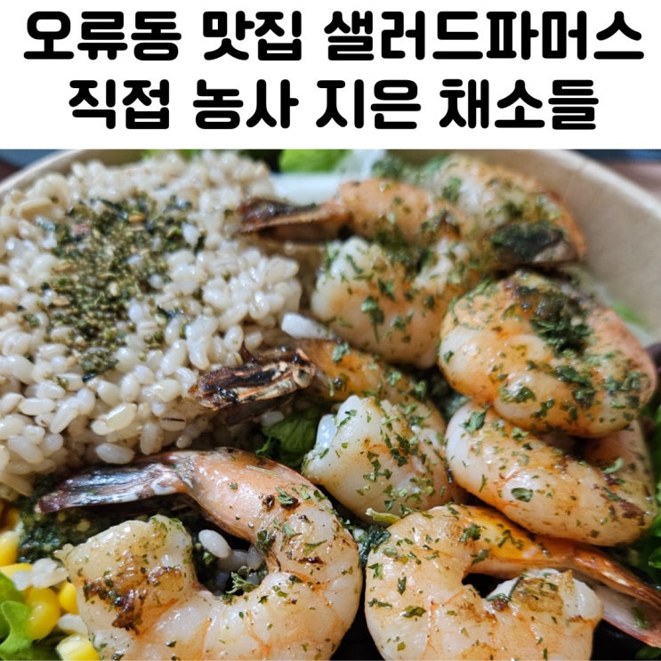 오류동역 맛집 샐러드 파머스 내돈내산 후기