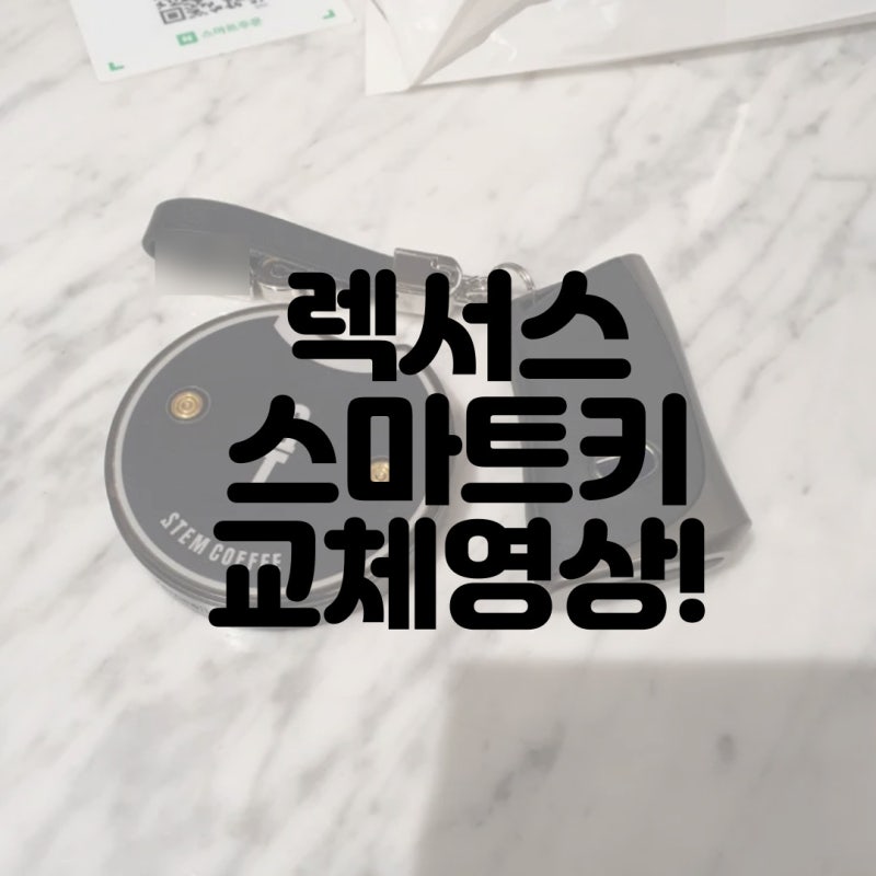 렉서스 스마트키 배터리 교체/교환 방법 동영상 따라하기 es300h UX250h NX 차키 호환가능