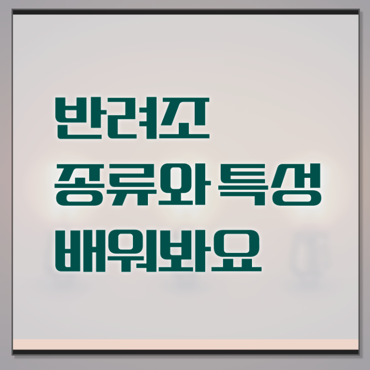  반려조관리사 자격증 빠른 취득 Check ?! 한국자격검정원