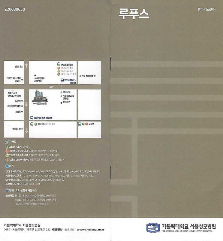  루푸스(자가면역질환 진료 서울성모병원 류마티스내과