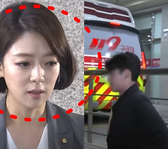 '<b>국민의힘</b> <b>배현진</b> <b>의원</b> 피습 사건' 피의자 범인 신상 & 정체... 