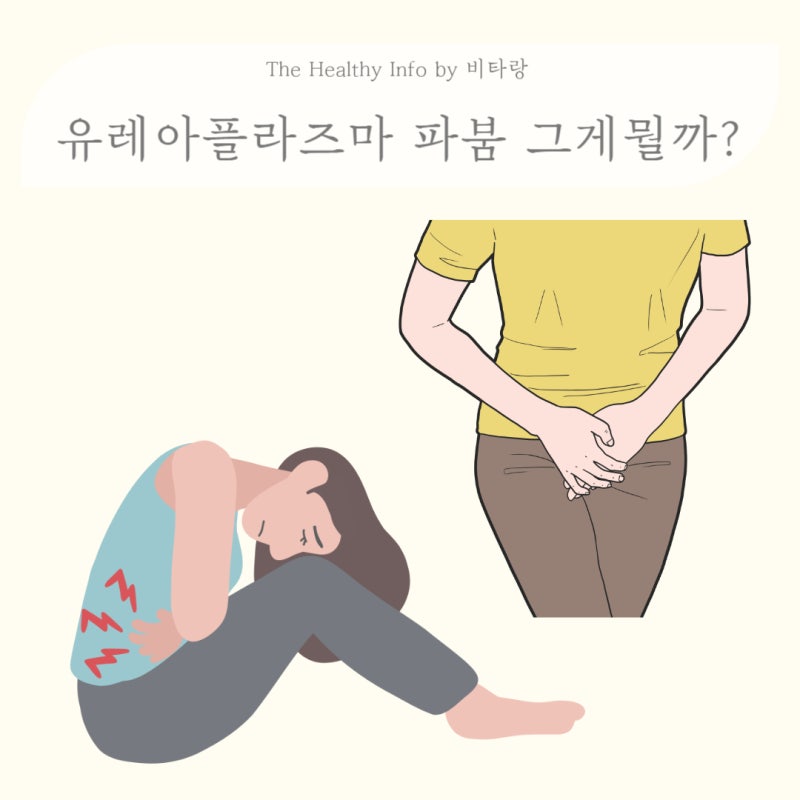 유레아플라즈마 원인 증상 유레아플라즈마 파붐 여자
