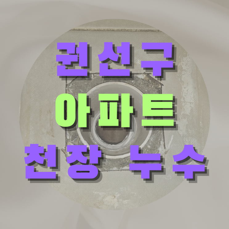  권선구 아파트 천장 누수 - 천장에 맺혀있는 물!?