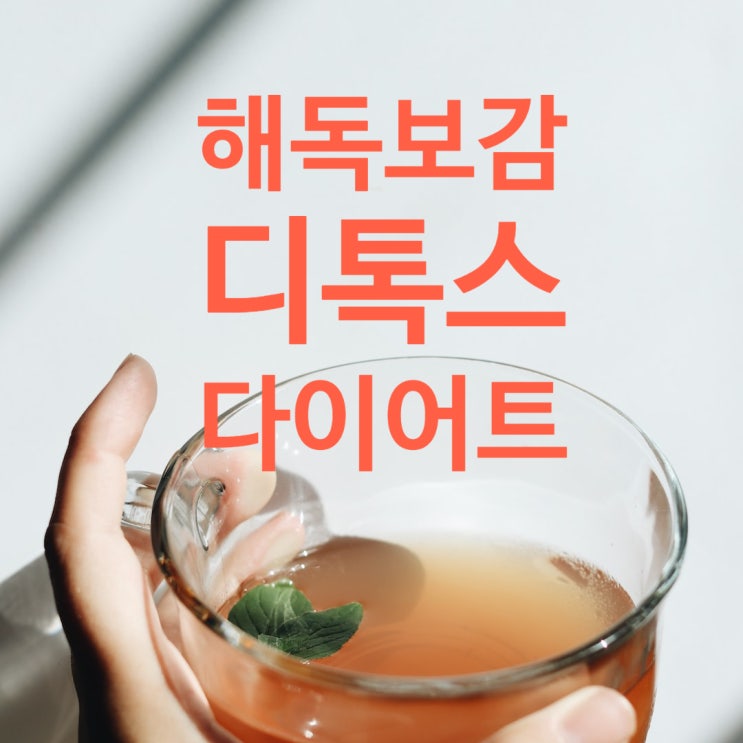  해독보감  디톡스 다이어트 준비기 리뷰 청일수 청이장