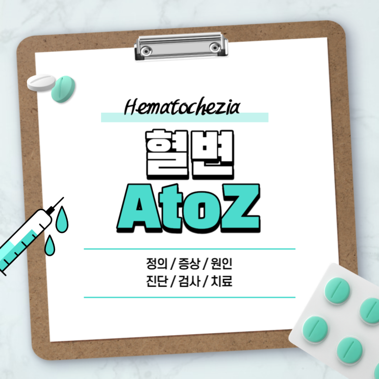 혈변 A to Z 【#원인 #증상 #색 #덩어리 #선홍색 #검붉은 #붉은 #빨간 #갑자기 #계속 #잦은 #술먹고 #치질 #용종 #크론병 #점액성】