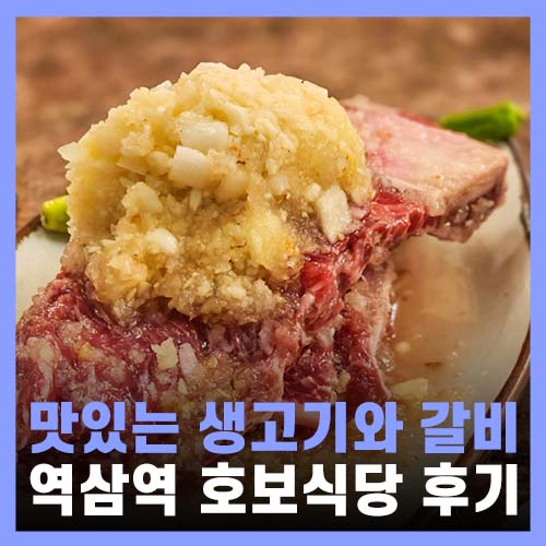  역삼역 맛집 갈비와 생고기도 맛있는 호보식당