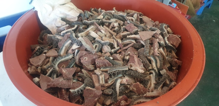 칠봉산참하누 사진 6