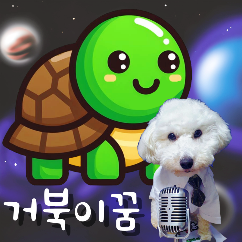 새끼거북이 꿈 상황별 해몽 풀이 총정리