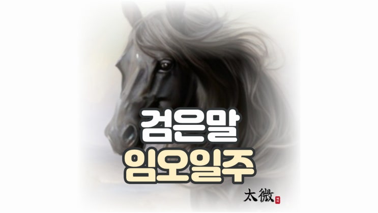  검은 말을 뜻하는 "임오일주"
