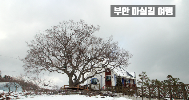 호수펜션 사진 5