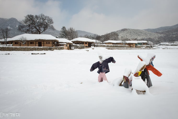 [마을사진] 외암민속마을의 겨울 풍경(1)
