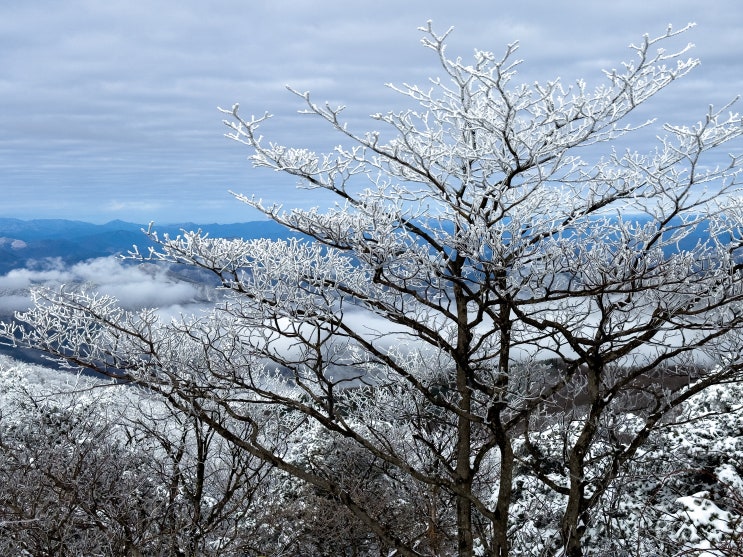 [풍경사진] 소백산 상고대, 눈꽃 풍경