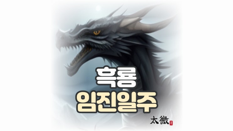  검은 용(흑룡)을 뜻하는 "임진일주"