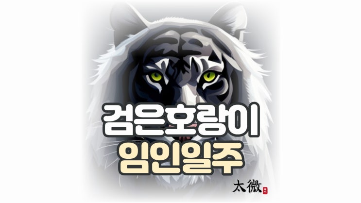 검은 호랑이를 뜻하는 "임인일주"