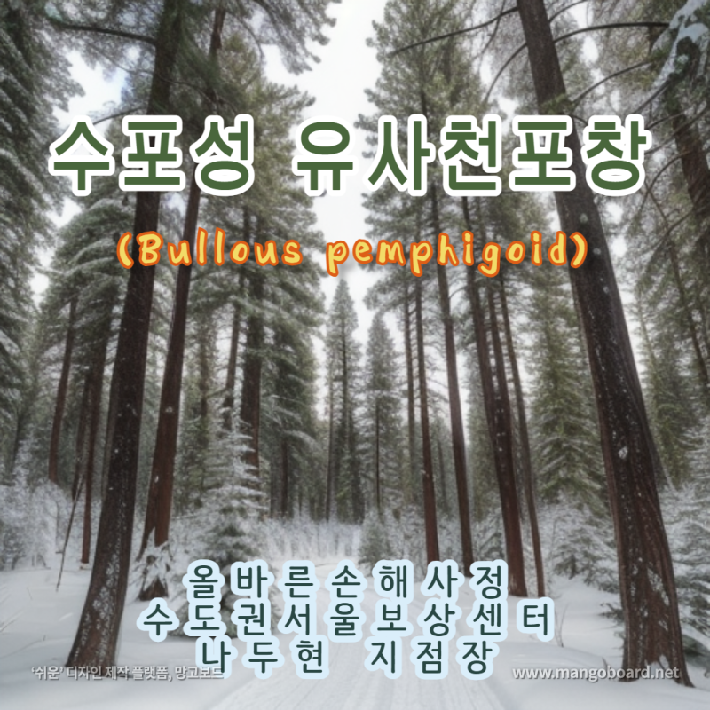 수포성 유사천포창 (Bullous pemphigoid)