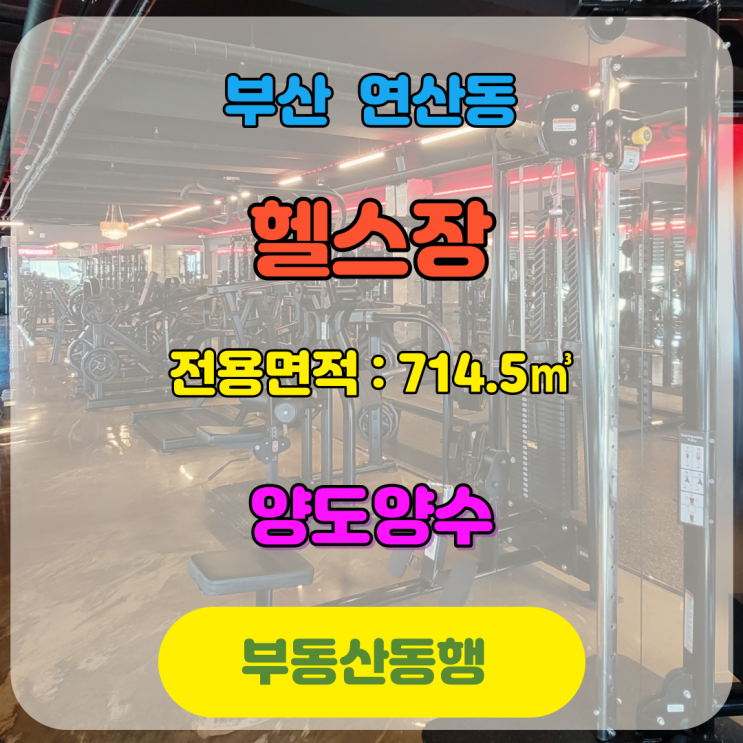  연제구 연산동 헬스장 양도양수 물건입니다