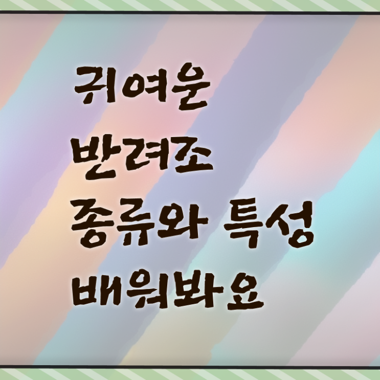  반려조관리사 자격증 발급기관 확인하고 가세요 ?! 한국자격검정원
