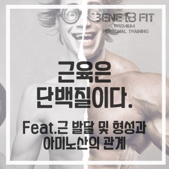 고촌PT 근 발달 및 형성과  단백질(아미노산)의 관계