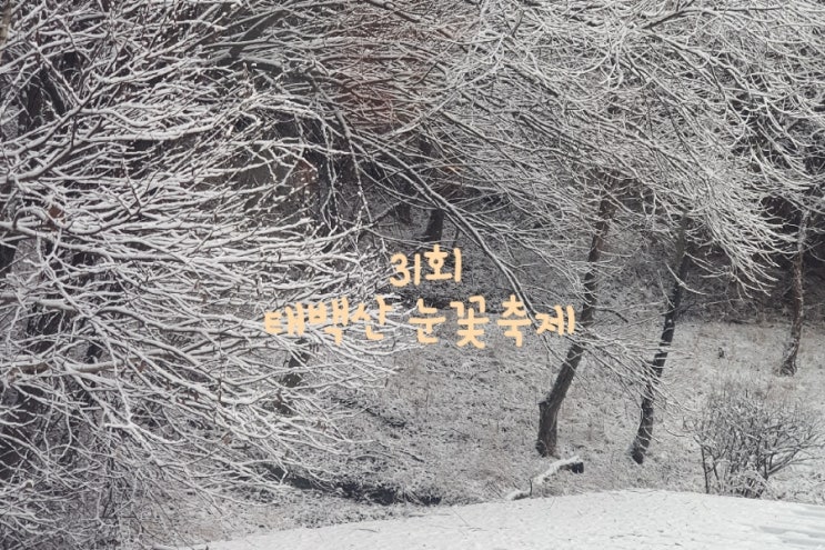 겨울축제 <b>태백산 눈축제</b> 겨울왕국 태백으로 눈구경 떠나요