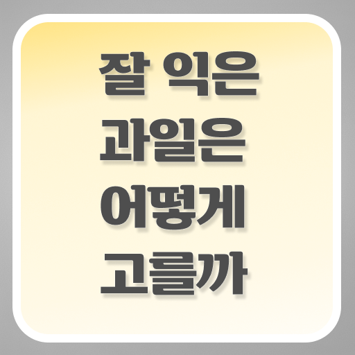  맛있는 제철 과일 구별 법 알려드립니다 !!!