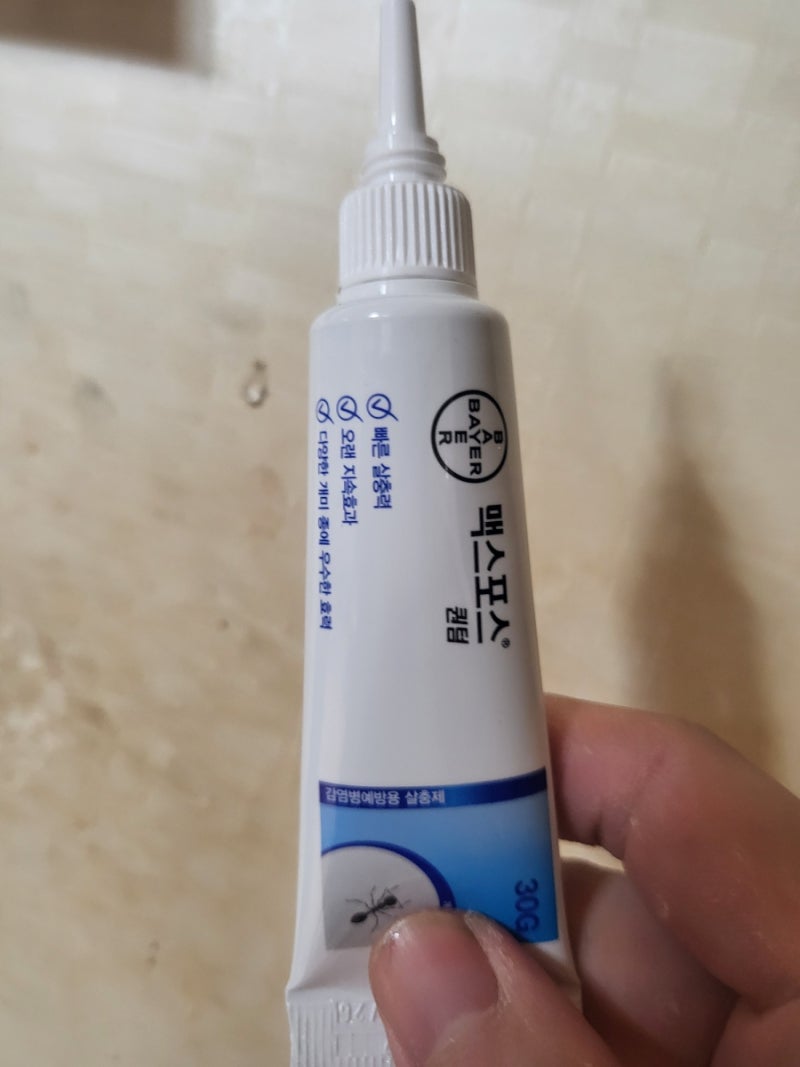 집개미 퇴치 바이엘 맥스포스 퀀텀 개미약 내돈내산