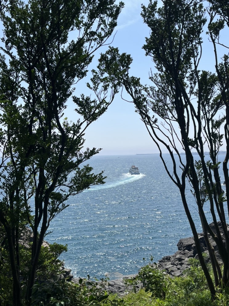  쏠라시내고향 제주 방문기 (1) 제주시청 오오야마 / 우디집/ 곶자왈손칼국수 / 황우지해변 선녀탕