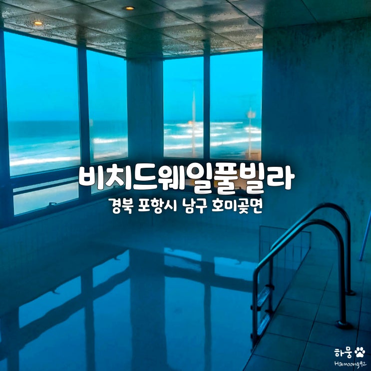  경북 포항펜션 호미곶 오션뷰풀빌라숙소 추천 비치드웨일풀빌라