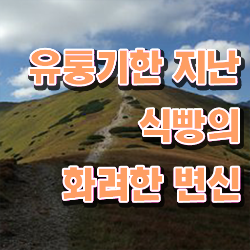 정보 가득 ! 유통기한 넘긴 식빵 사용법 ~