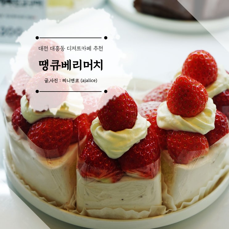 대전 대흥동 디저트 카페 맛있는 케이크 가득 땡큐베리머치 대전 대흥동 디저트 카페 맛있는 케이크 가득 땡큐베리머치