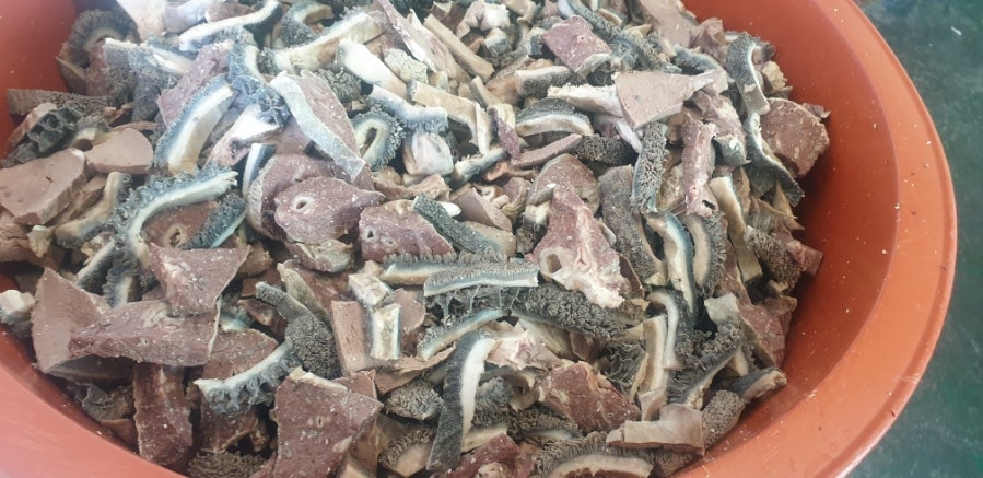 칠봉산참하누 사진 5