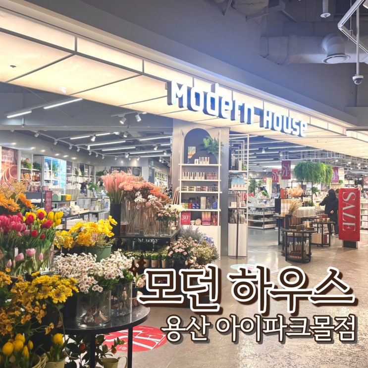 모던하우스 봄 신상품 인테리어 소품 주방용품