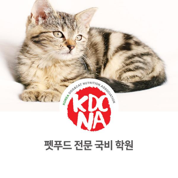  NO.1087 노동부 승인 펫푸드 국비 학원