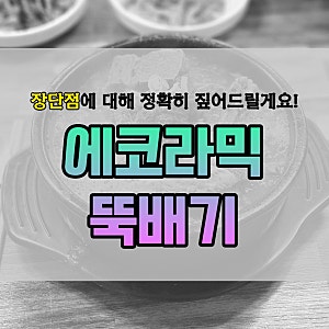 에코라믹 뚝배기 내돈내산 후기 단점 사용법 분석 도자기 맞나요?