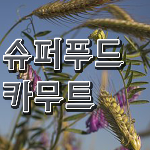  카무트 분말 효능 . 궁금증 해결 !!!