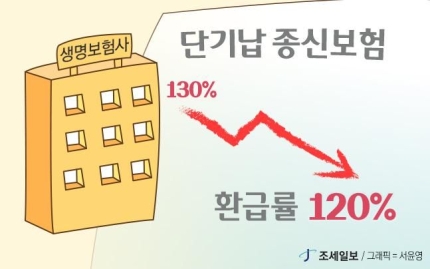 생보사, 단기납 종신보험 환급률 결국 내려... '절판마케팅' 주의 생보사, 단기납 종신보험 환급률 결국 내려... '절판마케팅' 주의