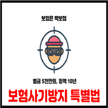  보험사기방지 특별법 국회 본회의 통과
