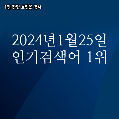 2024년 1월 25일 네이버쇼핑 분야별 인기 검색어 1위