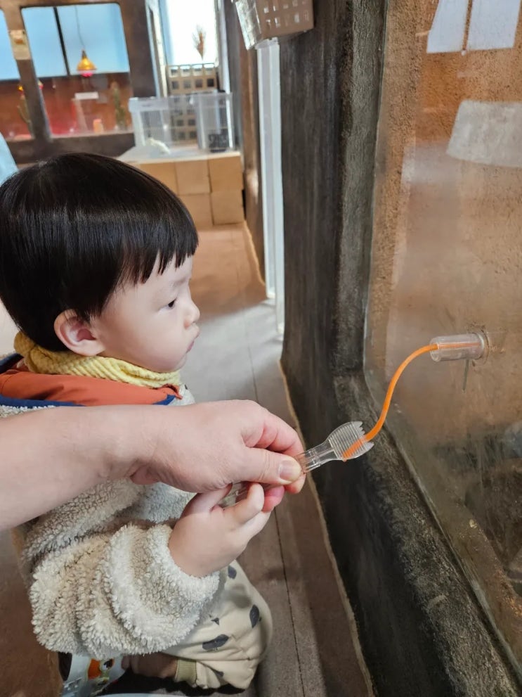  [아빠의 주말 육아(28개월)]성남 애니멀존