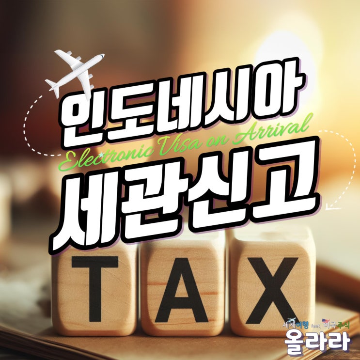  인도네시아 발리 전자세관신고서 작성 입국 심사 후기