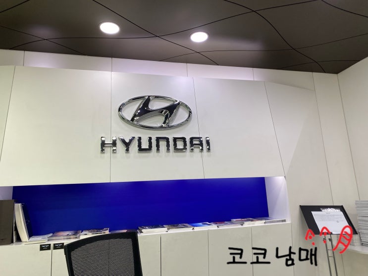 차 산 날 - 더뉴투싼 하이브리드